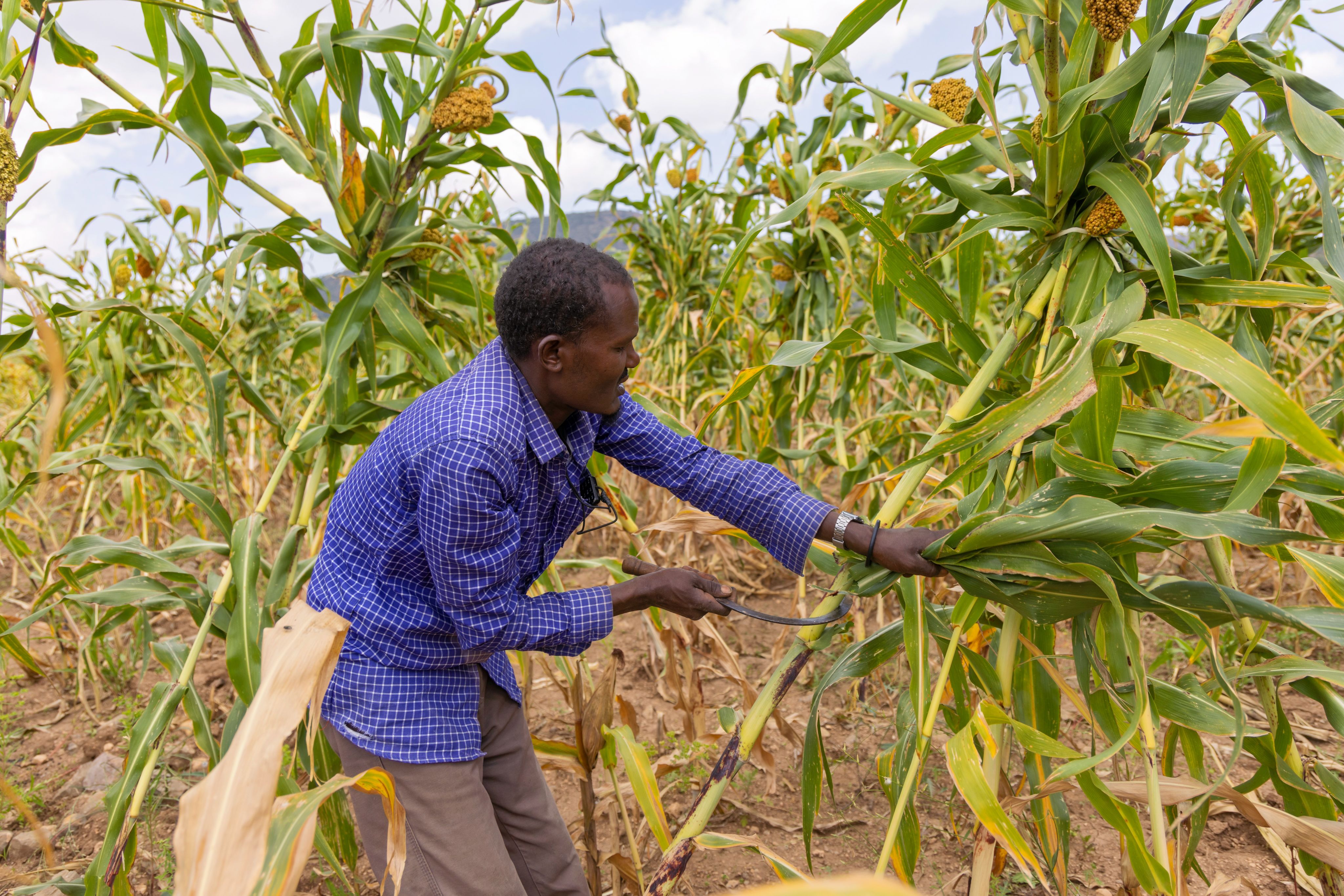 In The Somali Region Of Ethiopia, Surgery Brings Relief To Farmer With 